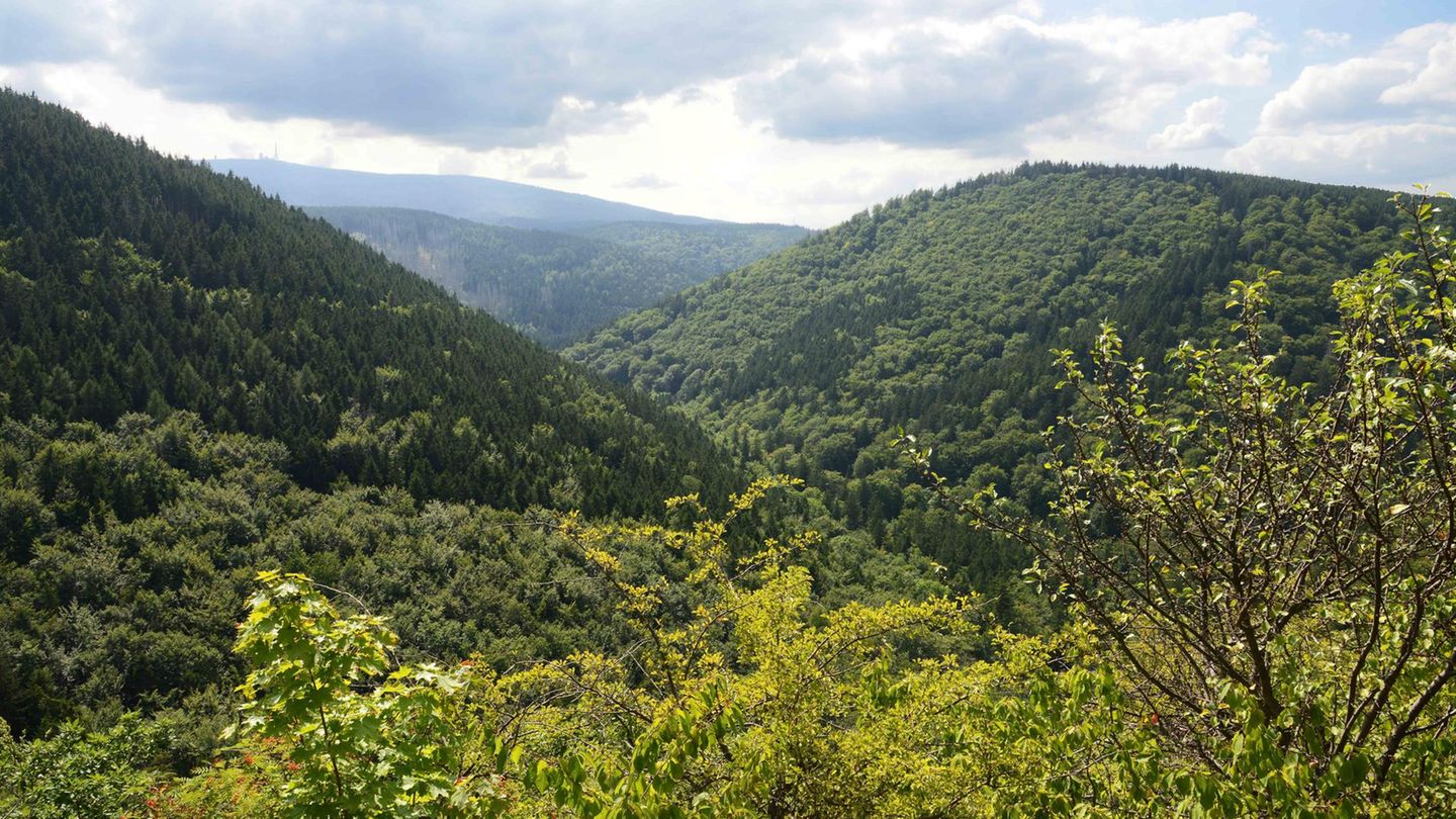 Goetheweg auf den Brocken Goetheweg auf den Brocken