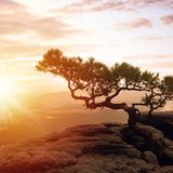 Sächsische Schweiz: Malerweg