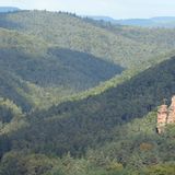 Hauensteiner Schusterpfad und Rimbach-Steig in der Südpfalz  Am Anfang war die Wiese, dann begannen die Bäume zu sprießen und schließlich beschatteten Wälder das Land, das wir als Deutschland kennen. Dann kamen die Menschen. Und schufen Platz. Für Felder, Häuser, Gärten. Doch es gibt sie noch, Ecken, in denen wir wie unsere Vorfahren unter riesigen Bäumen wandeln können: den Pfälzerwald zum Beispiel. Mit einer Fläche doppelt so groß wie Berlin ist er das größte zusammenhängende Waldgebiet Deutschlands. Am besten zu erwandern auf zwei Rundtouren: dem Hauensteiner Schusterpfad und dem Rimbach-Steig. Bei der ersten begegnet man Buntsandsteinfelsen, die grimmig zwischen uralten Bäumen in die Landschaft schauen. Die zweite Wanderung umrundet auf Höhenzügen die Wasgaudörfer Darstein und Schwanheim.  Strecke: Hauenstein > Hauenstein + Darstein > Darstein  Start: Felsdurchbruch beim Penny Markt + Darstein: Parkplatz am Ortsausgang Richtung Vorderweidenthal  Länge: 15 km & 16,7 km  Dauer: 5 Std. & 7 Std.  Höhenmeter: 1095 + 1528  Schwierigkeitsgrad: mittel/schwer