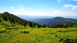 Bayerischer Wald: Auf den Rachelgipfel – Rundweg Auerhahn