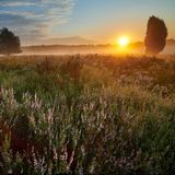 Wandern in der Lüneburger Heide