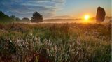 Wandern in der Lüneburger Heide