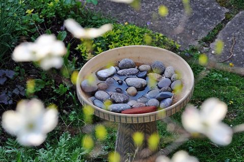 Insektentränke im Garten