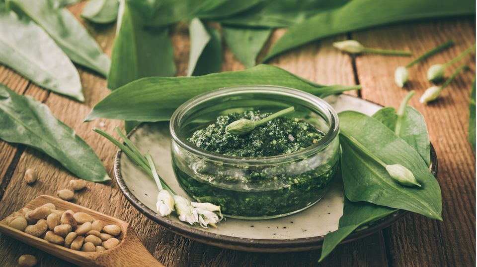 Bärlauch als Pesto Bärlauch: Daran erkennen Sie die leckere Pflanze