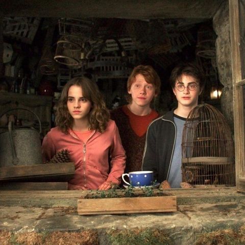 Drei Zauberschüler in Hagrids Hütte