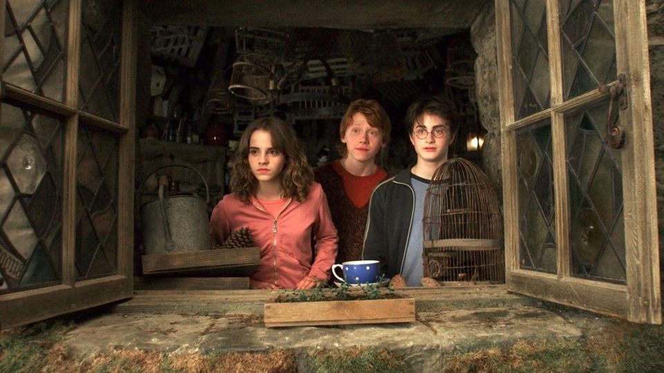 Drei Zauberschüler in Hagrids Hütte