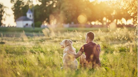 Ein Mann sitzt mit seinem Hund auf einer Wiese bei Sonnenuntergang