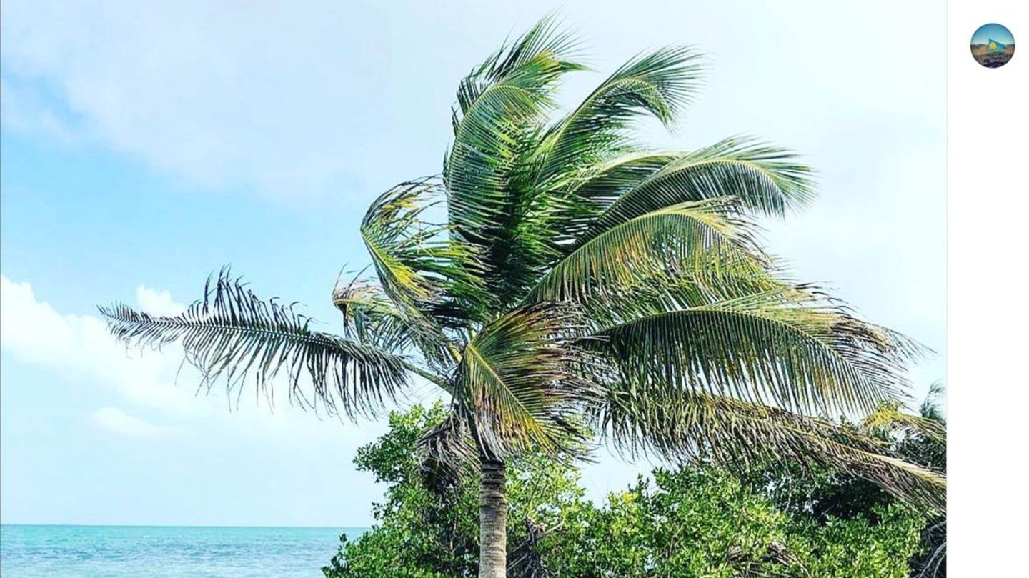 Coffee Caye