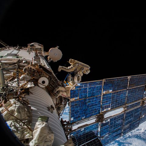 ICARUS-Projekt auf der ISS