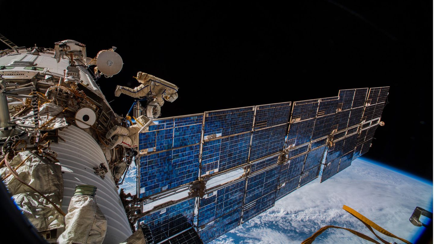 ICARUS-Projekt auf der ISS