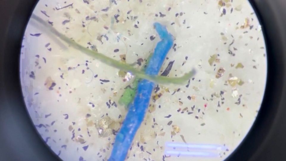 Im Blut nachgewiesen: Forscher entdecken Mikroplastik im Menschen Im Blut nachgewiesen: Forscher entdecken Mikroplastik im Menschen