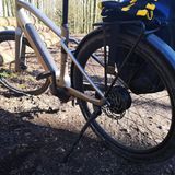 Zur Not geht es auch über Stock und Stein.