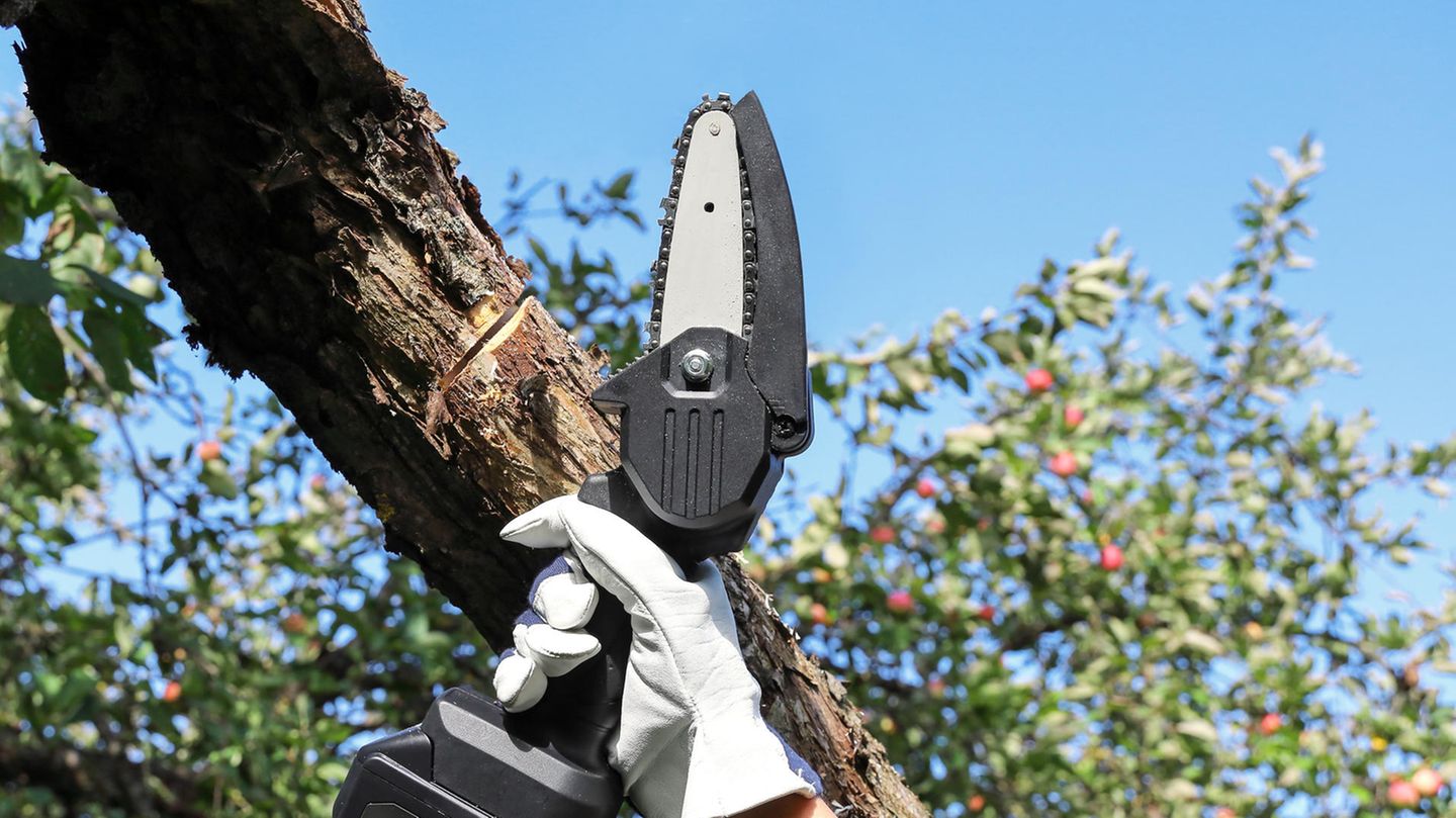 Mini Kettensäge mit Akku