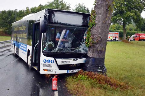 Linienbus fährt gegen einen Baum