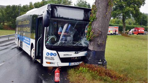 Linienbus fährt gegen einen Baum