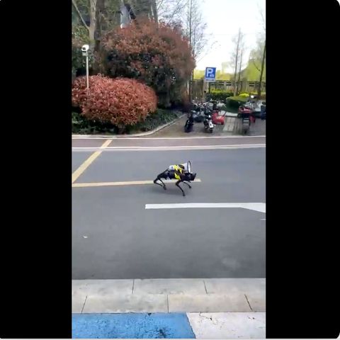 Roboter-Hund in Shanghai