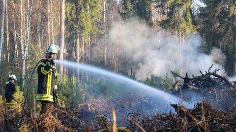 Feuerwehrleute löschen einen Waldbrand m Kreis Hainburg nahe Offenbach