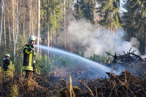 Feuerwehrleute löschen einen Waldbrand m Kreis Hainburg nahe Offenbach