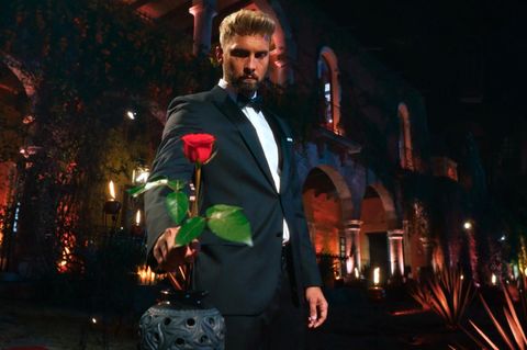 Der Bachelor