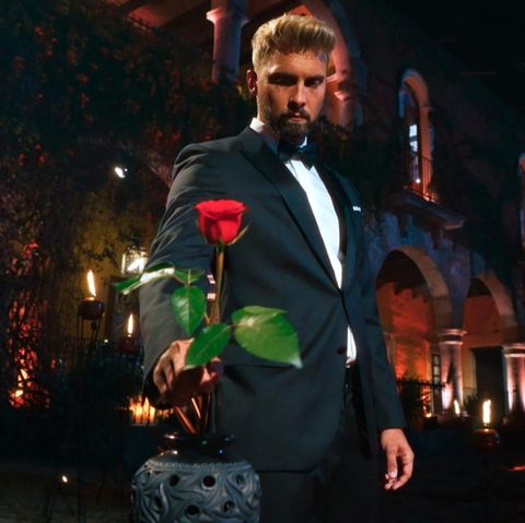 Der Bachelor