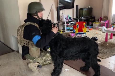 Ukraine-Krieg: Soldat findet Hund in verlassener Wohnung