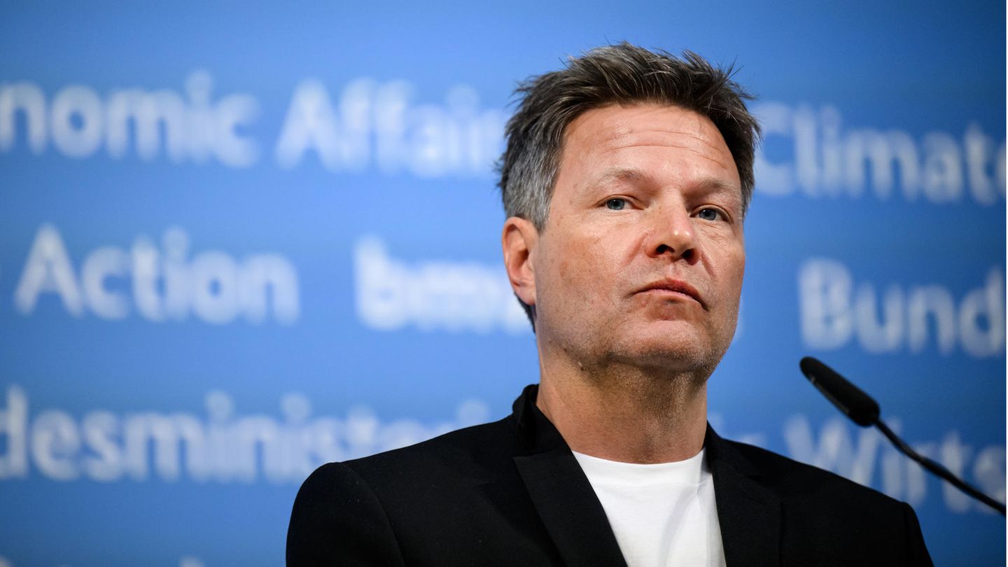 Robert Habeck (Bündnis 90/Die Grünen), Bundesminister für Wirtschaft und Klimaschutz