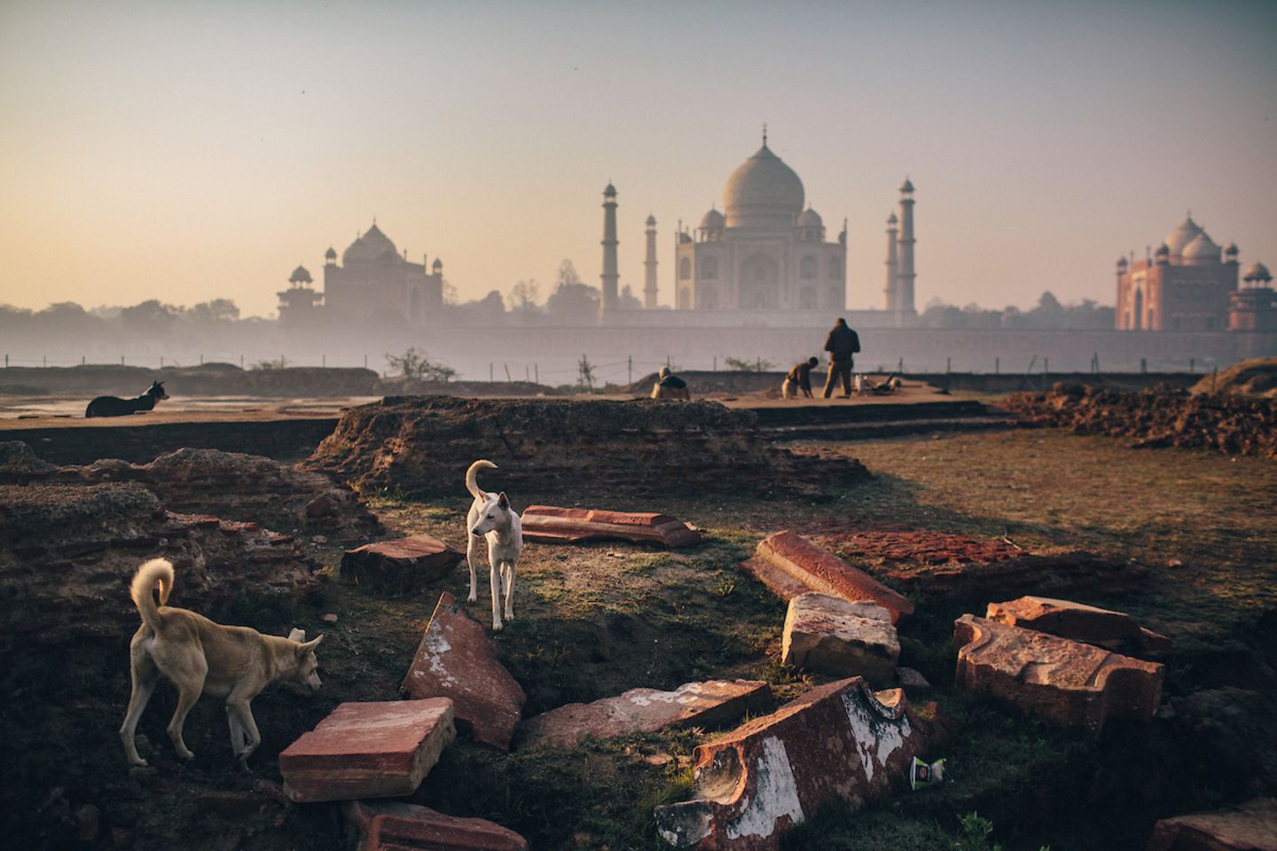 "Shadow of the Taj", Joshua Cogan Joshua Cogan ist ein mit dem Emmy Award ausgezeichneter Fotograf und Anthropologe, dessen Arbeit ihn in 65 Länder geführt hat, um seine einzigartige Art des ethnografischen Geschichtenerzählens zu kreieren. Mit seiner tiefen Liebe und Neugier für Kultur, Ökologie und Bilder hat Cogan konsequent Arbeiten für Print-, Film- und digitale Plattformen produziert.