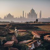 Joshua Cogan ist ein mit dem Emmy Award ausgezeichneter Fotograf und Anthropologe, dessen Arbeit ihn in 65 Länder geführt hat, um seine einzigartige Art des ethnografischen Geschichtenerzählens zu kreieren. Mit seiner tiefen Liebe und Neugier für Kultur, Ökologie und Bilder hat Cogan konsequent Arbeiten für Print-, Film- und digitale Plattformen produziert.