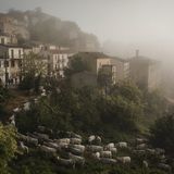 Castropignano (CB), Mai 2019. Die Herde der Familie Colantuono zieht in das Dorf ein.      Giuseppe Nucci wurde 1982 in einem Bergdorf in Molise geboren, einer der am wenigsten bekannten und entwickelten Regionen Italiens. In den letzten Jahren konzentrierte er sich auf dokumentarische Projekte, die international veröffentlicht wurden – etwa in "National Geographic" und dem stern.
