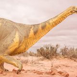 Marco Vernaschi ist ein italienischer Autor, der vor allem für seine zum Nachdenken anregenden Bilder und inspirierenden Kampagnen bekannt ist. Er produzierte eine Vielzahl von Projekten in verschiedenen Bereichen, die von Dokumentarfilmen bis zu zeitgenössischer Kunst reichen. Seine Kunstwerke sind Teil mehrerer Privat- und Museumssammlungen, darunter die der Biennale von Venedig. Seine redaktionelle Arbeit ist in Medien wie "National Geographic", "Time" und der "New York Times" zu sehen.