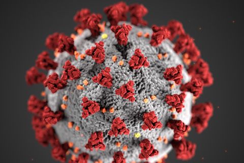 Eine Illustration des Coronavirus