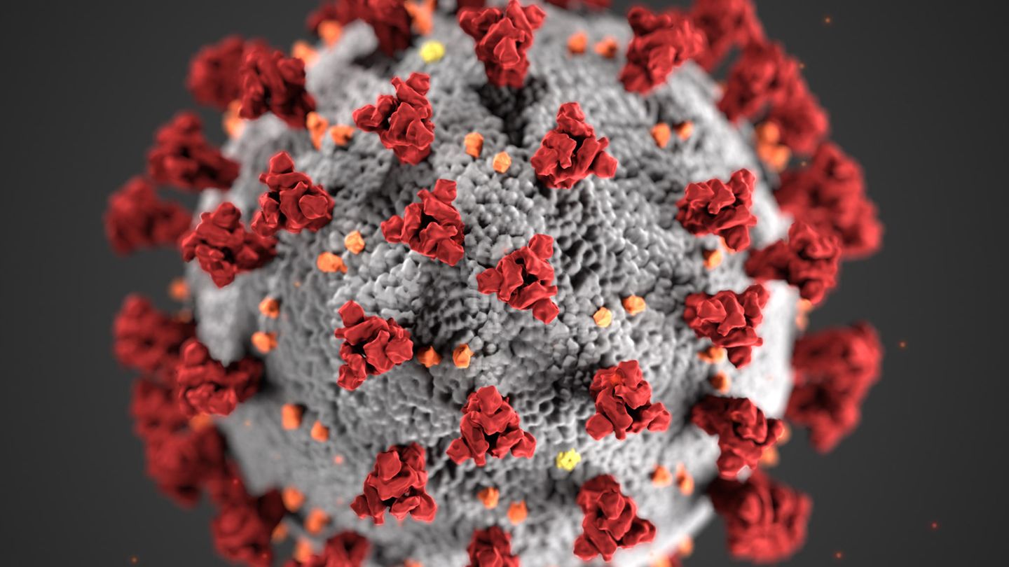Eine Illustration des Coronavirus