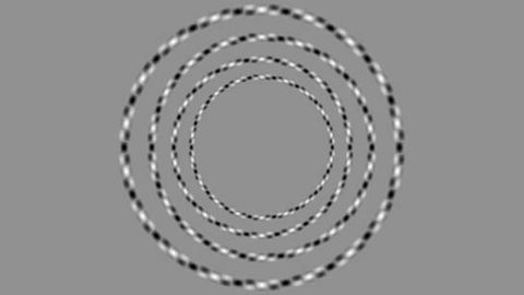 Optische Täuschung: Überkreuzen sich die Kreise wirklich?