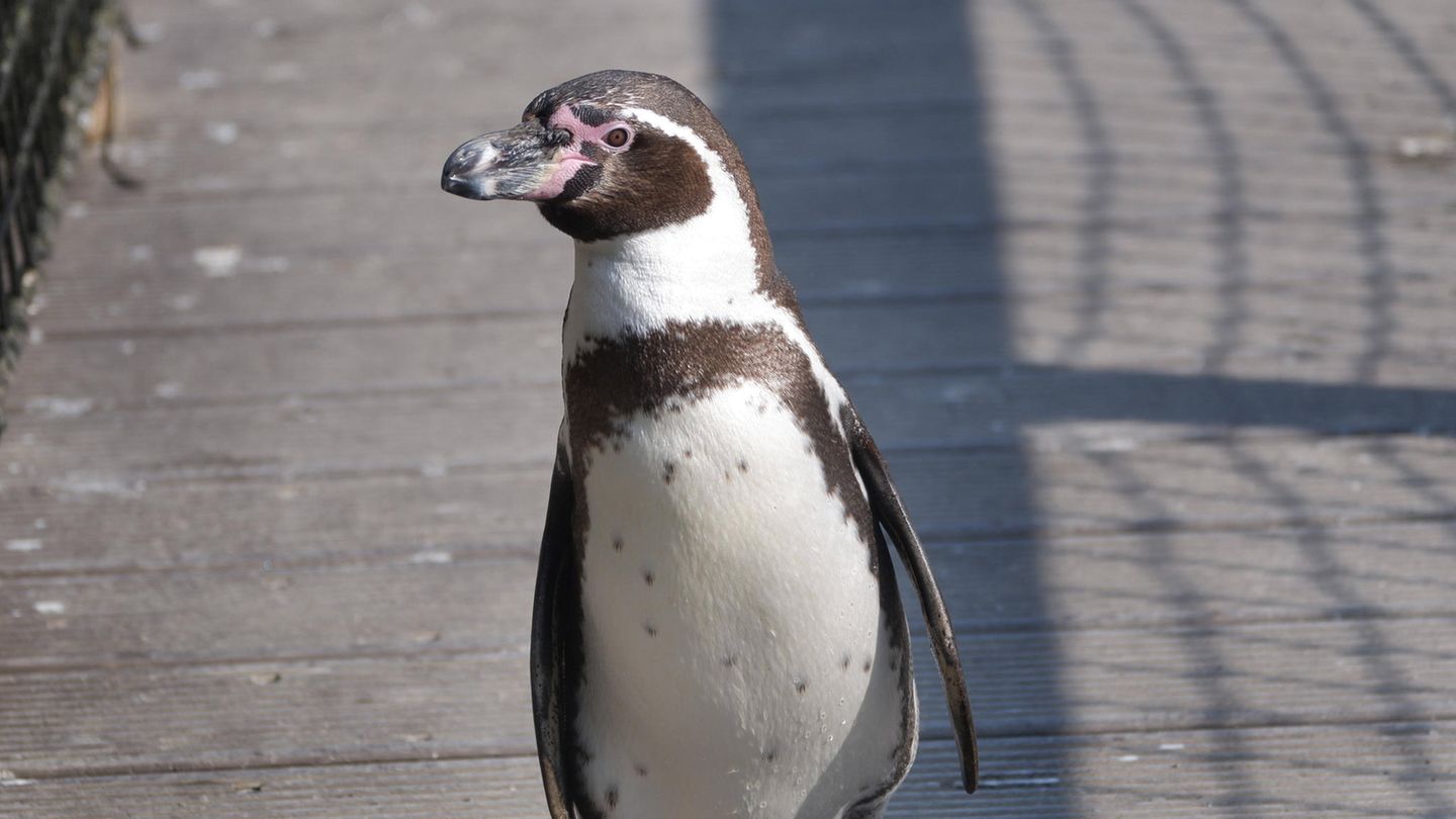 Krefeld Zoo