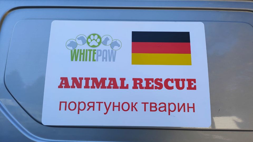 Hoffnung auf vier Rädern Aufkleber auf dem Transporter von White Paw