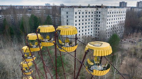 30 Jahre nach Atom-Gau: Wie Tschernobyl zum Tier-Paradies wurde