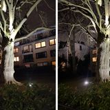 Bei schlechtem Licht kann das Onelus 10 Pro (links) leider nicht mithalten. Die Motive wirken, wie hier am Stamm und dem Mauerwerk zu sehen, meist sehr ausgewaschen, verlieren extrem an Details. Die Farbdarstellung ist allerdings immer noch gut. Hier wäre aber klar deutlich mehr drin gewesen.