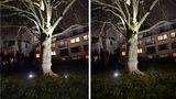 Bei schlechtem Licht kann das Onelus 10 Pro (links) leider nicht mithalten. Die Motive wirken, wie hier am Stamm und dem Mauerwerk zu sehen, meist sehr ausgewaschen, verlieren extrem an Details. Die Farbdarstellung ist allerdings immer noch gut. Hier wäre aber klar deutlich mehr drin gewesen.