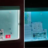 Ist es dunkel, hat das Oneplus 10 Pro teilweise Probleme mit dem Weißabgleich. Die Papierseiten werden fast weiß gezeigt, mit dem bloßen Auge wirkten sie allerdings wie beim iPhone-Foto rechts einfangen eher bläulich. Hier ebenfalls gut zu sehen: Die Oneplus-Aufnahme arbeitet trotz des schlechten Lichts mehr Farben im Hintergrund heraus.