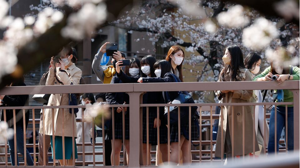 Schulmädchen in Japan fotografieren Kirschblüten