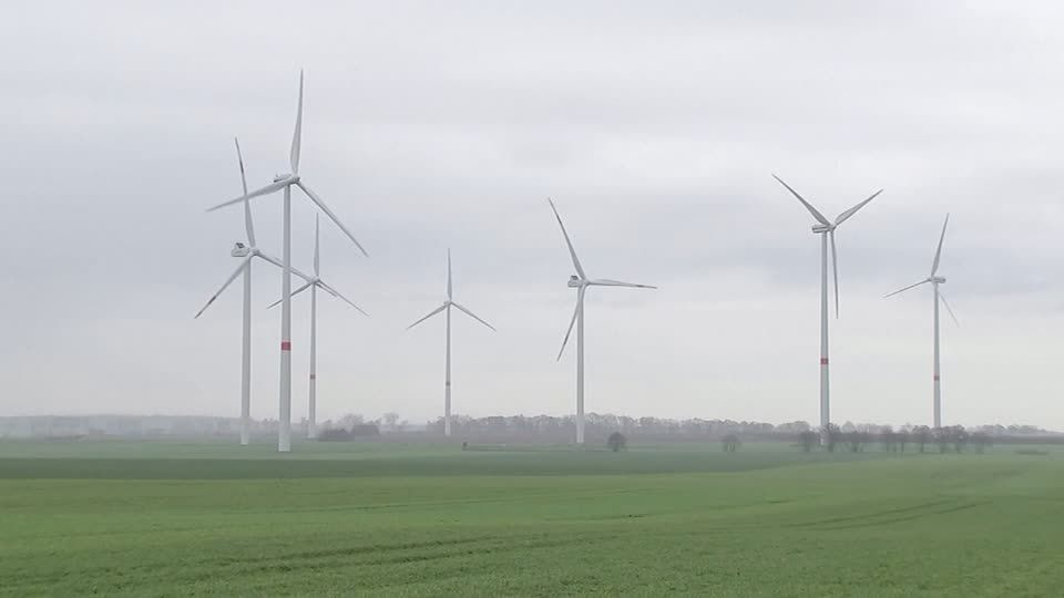 USA: Windpark tötet mindestens 150 Adler – Unternehmen muss Millionenstrafe zahlen