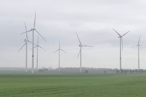 Video: Regierung will Blockade zwischen Windkraft und Artenschutz lösen