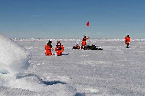 Wissenschaftler des Alfred-Wegener-Instituts nehmen Schneeproben auf dem Meereis