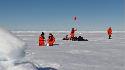 Wissenschaftler des Alfred-Wegener-Instituts nehmen Schneeproben auf dem Meereis