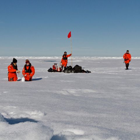 Wissenschaftler des Alfred-Wegener-Instituts nehmen Schneeproben auf dem Meereis