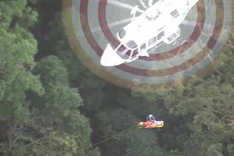 Australien: Erdrutsch in den Blue Mountains: Vater und Sohn sterben auf Wanderung