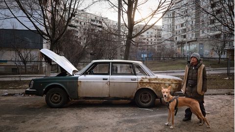 Eine junge Frau mit Hund im zerbombten Charkiw