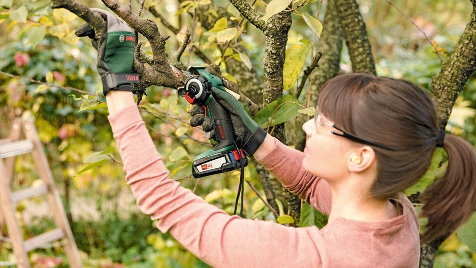 Frau arbeitet mit Mini-Kettensäge an einem Obstbaum