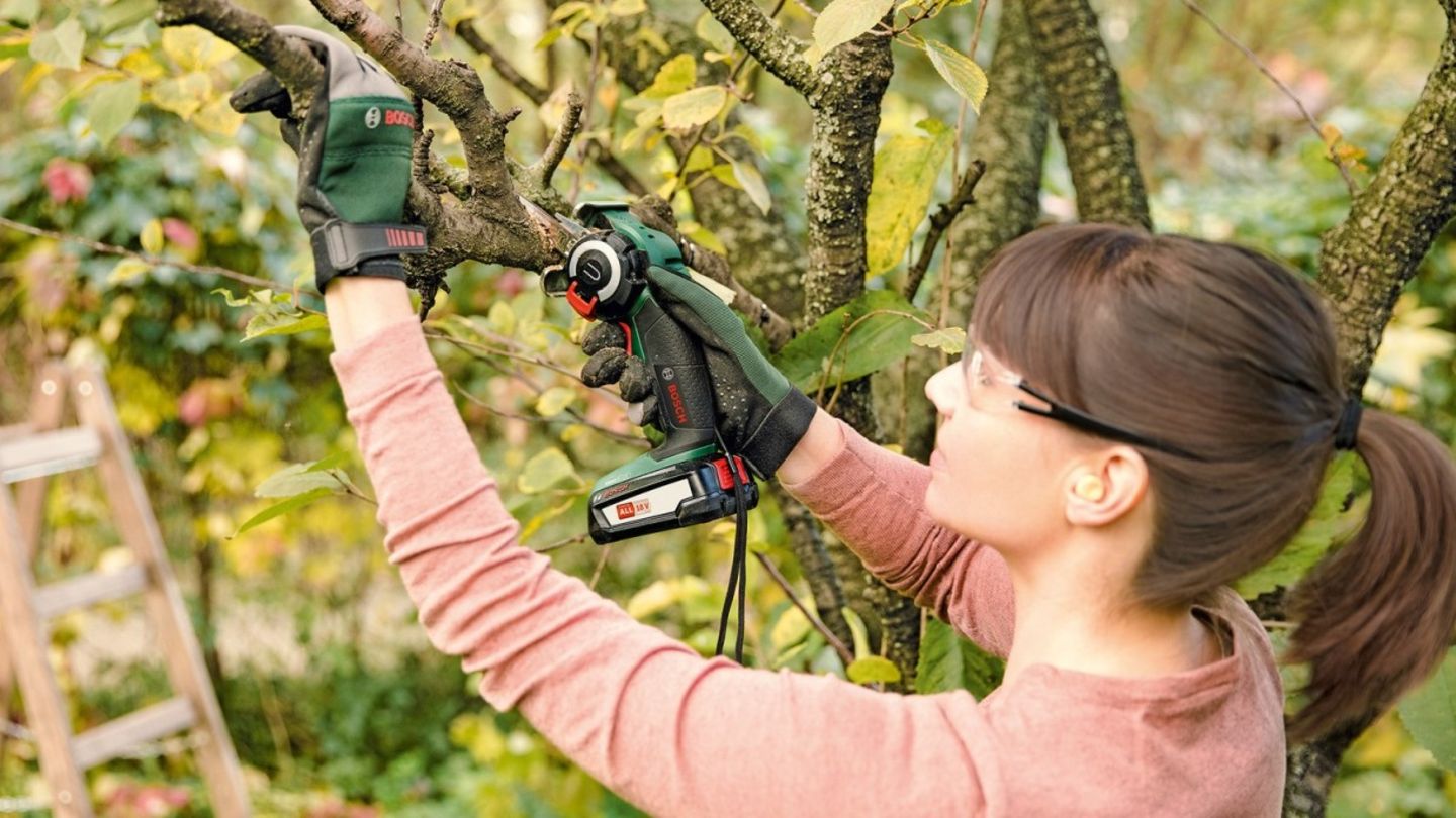 Bosch mini chainsaw for 99 euros: the top deals on Monday