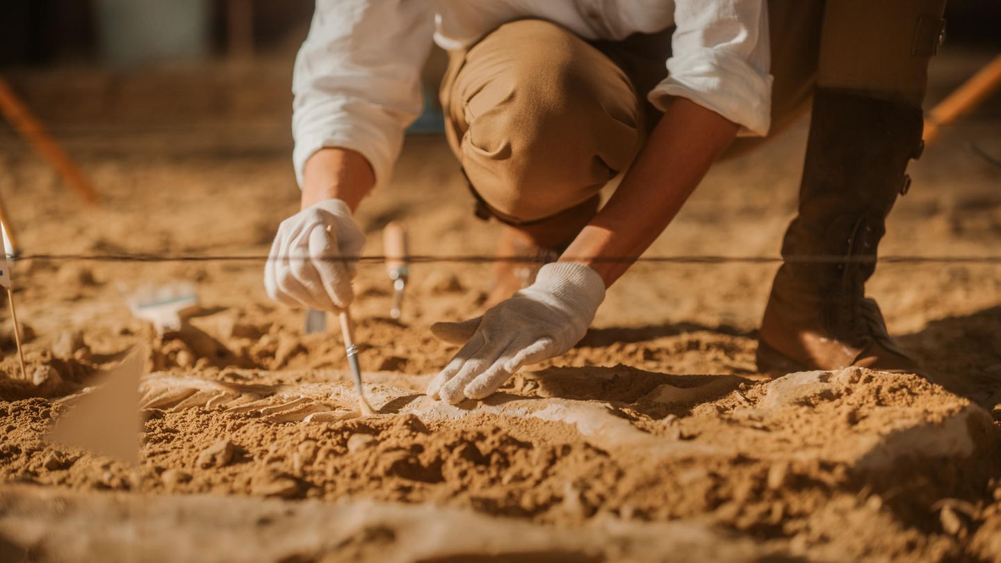 Archäologe legt vorsichtig Knochen aus der Erde frei
